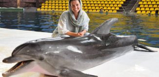 1495168_10152191038878466_1452335103_o