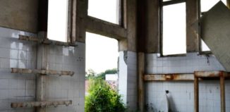 1688798_821720331249943_7337789306079328126_n