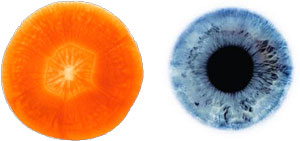 морков око