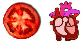домат сърце