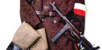 Партизанин (Полша), 1942 г.