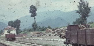 България през 1960 г.