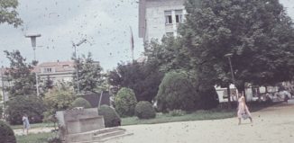България през 1960 г.