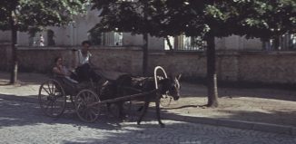 България през 1960 г.