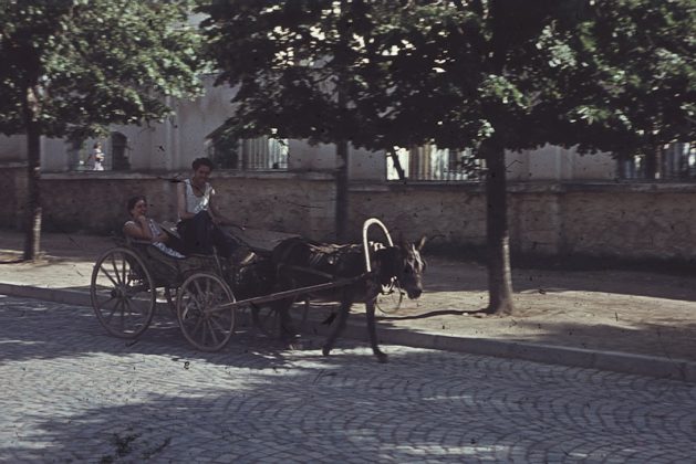 България през 1960 г.