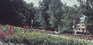 България през 1960 г.