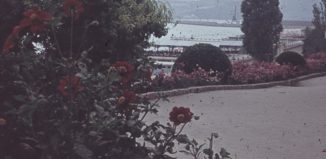 България през 1960 г.