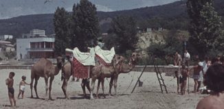 България през 1960 г.