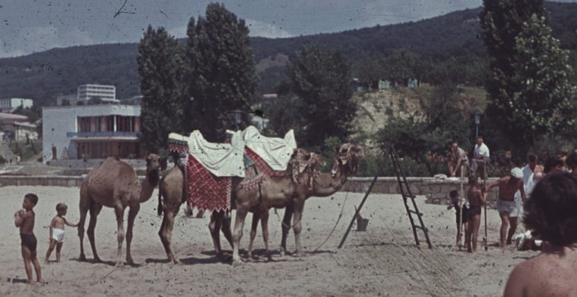 България през 1960 г.