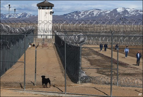 guard_dogs
