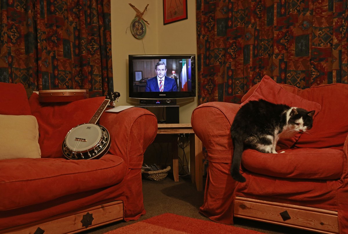 in-donegal-ireland-a-cat-turns-his-back-on-the-tv-while-the-irish-prime-minister-edna-kenny-gives-a-televised-address