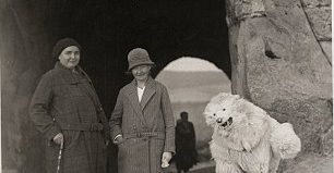 2AB699B200000578-0-image-a-41_1437471493149