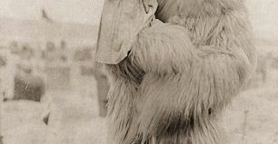 2AB69BAE00000578-0-image-m-14_1437468968665