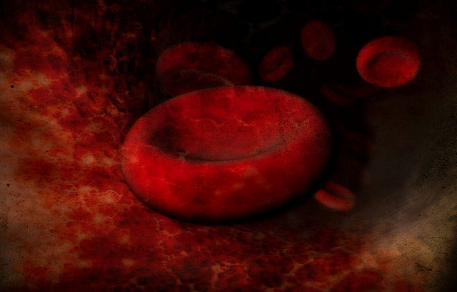 Червените кръвни телца са изключително бързи. Снимка: Andrew Mason via Foter.com / CC BY 