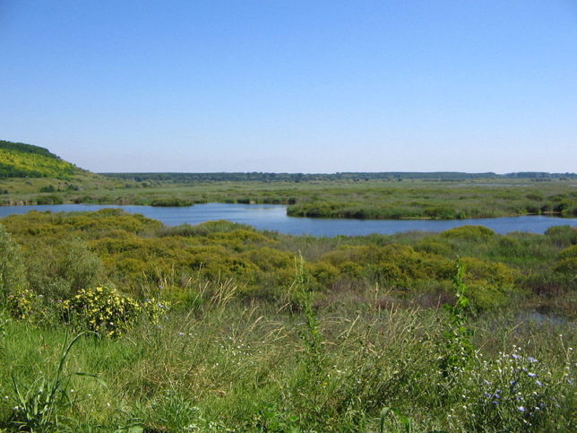 Сребърна ЮНЕСКО