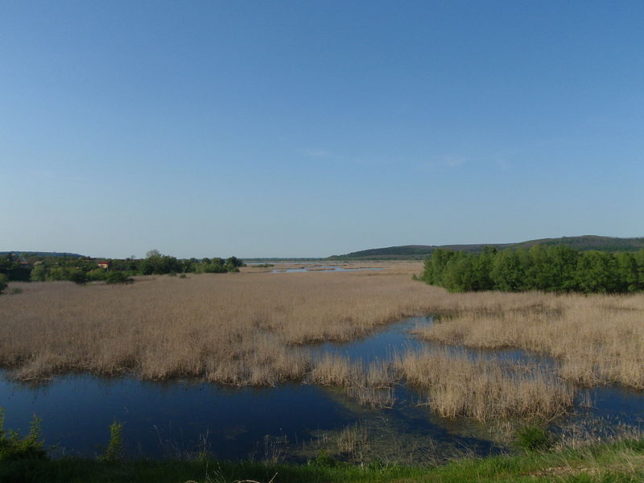 Сребърна ЮНЕСКО