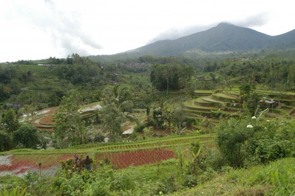 Бали