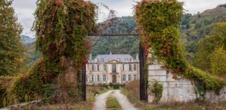 14570619_870010399796164_4476948216001282170_o