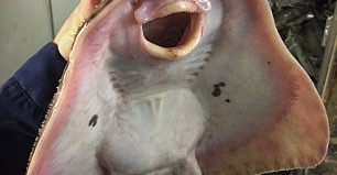 3B8C402700000578-0-image-m-48_1482276184103