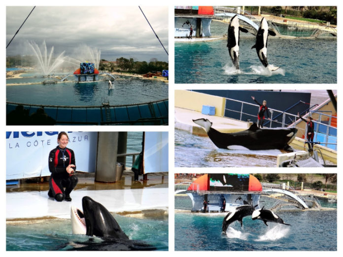 Marineland