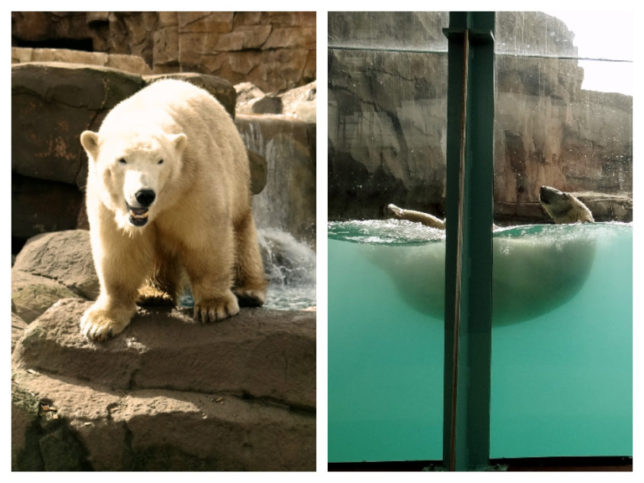 Marineland