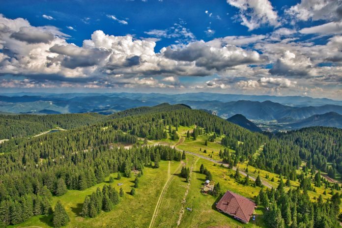 доброделите България