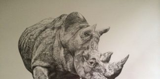Стилиян Иванов - носорог