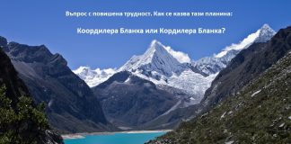 грешките в езика