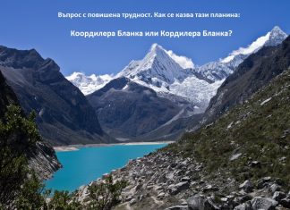 грешките в езика