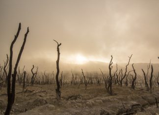 суша да спасим планетата