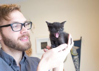 котета - Андрю Мартила