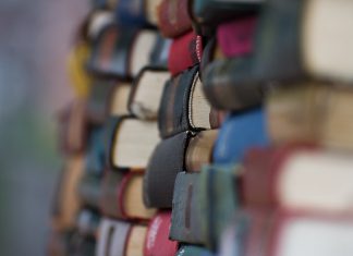 цундоку - книги