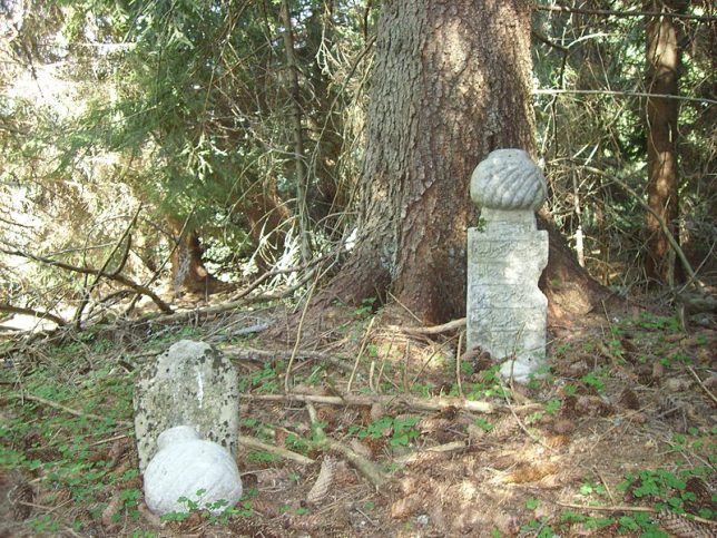 Гробове от заличеното село Тъмраш.